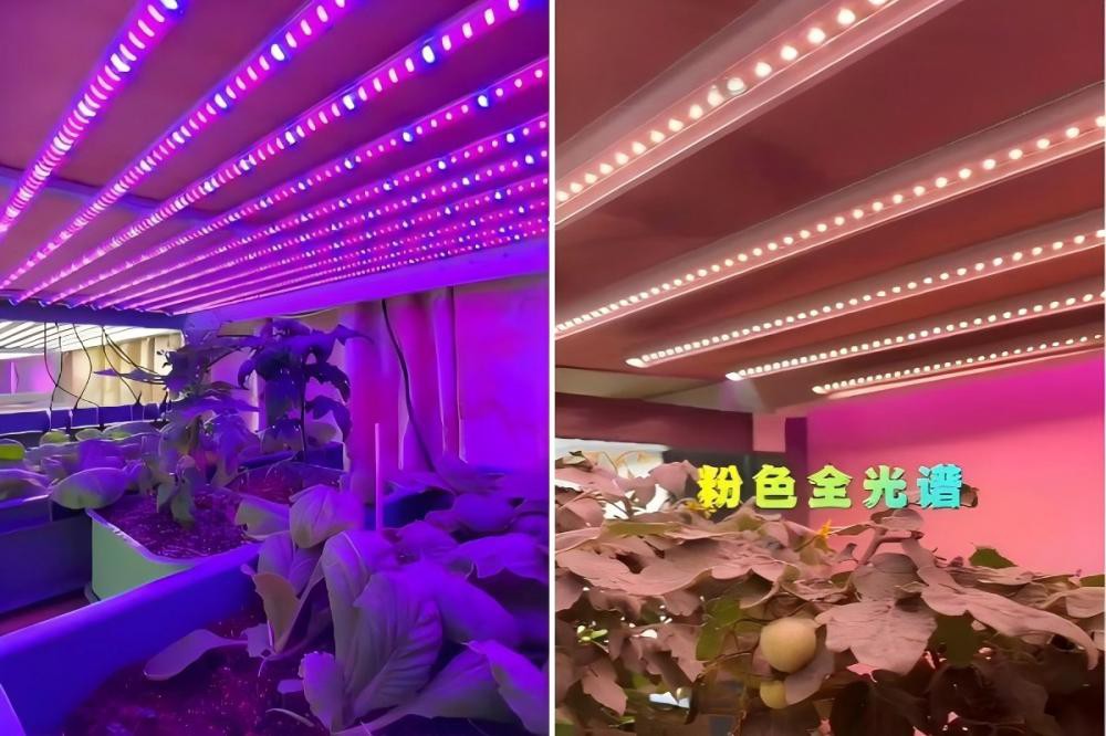 full spectrum1 full spectrum1