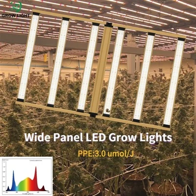 Moeten we LED-plantlampen gebruiken voor kasverlichting?
